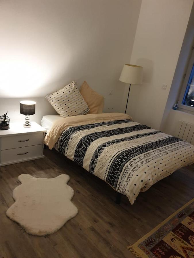 Appartement Cosy Et Chaleureux Lons-le-Saunier Εξωτερικό φωτογραφία